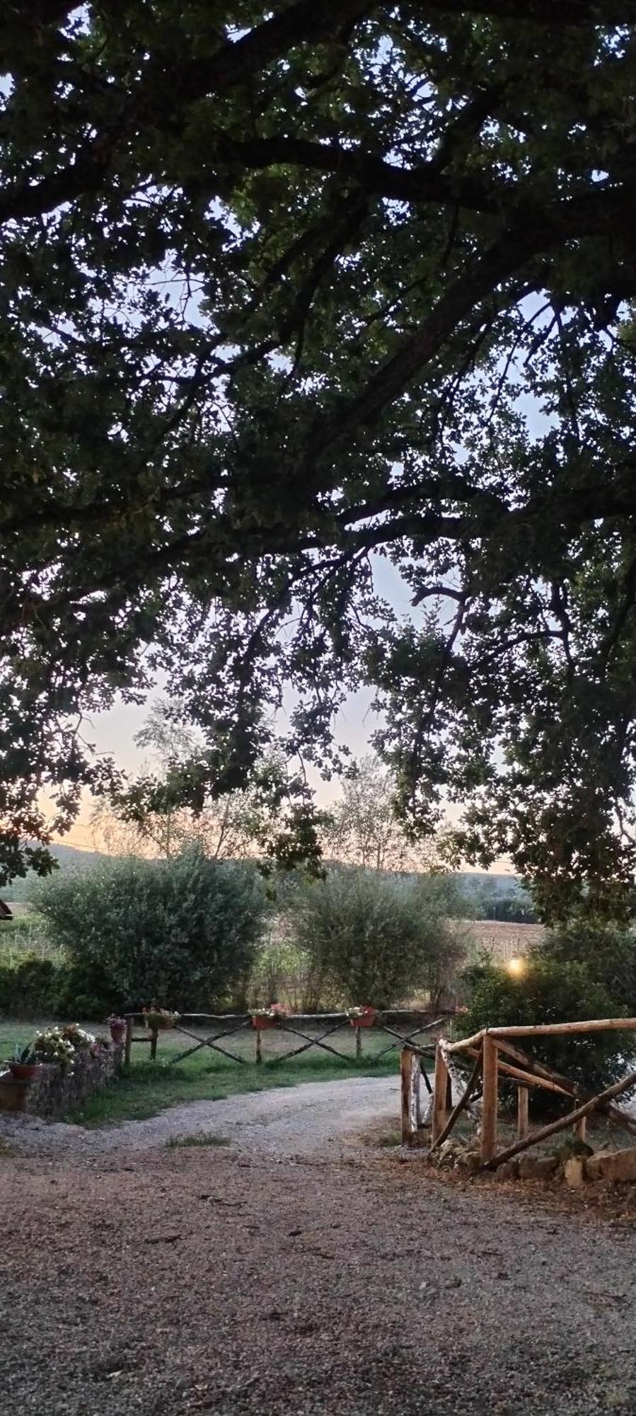 I Salici Agriturismo Badia Agnano Eksteriør billede
