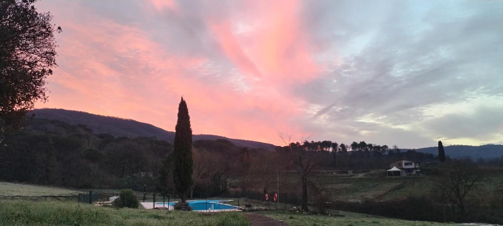 I Salici Agriturismo Badia Agnano Eksteriør billede